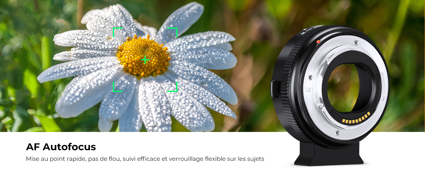 Deuxième diapositive