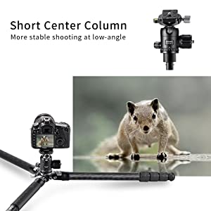 Treppiede per fotocamera in fibra di carbonio K&F Concept da 67 pollici/170 cm