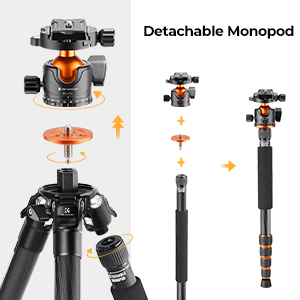 Professional Carbon Fiber Tripod