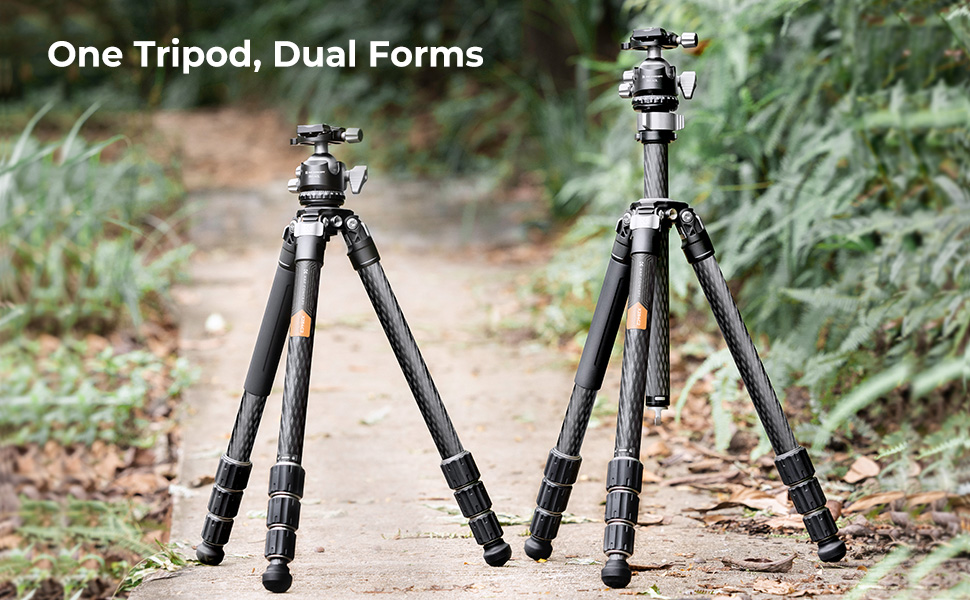 buy X Series Carbon Fiber Tripod, Model X284C2+BH-40L Gimbal, with 