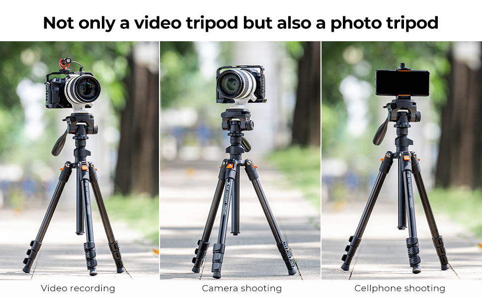 video recording/camera shooting/cellphone shoting