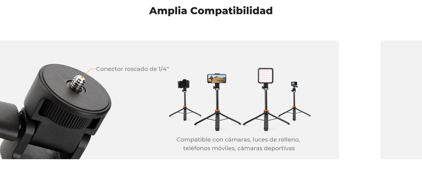 Primera diapositiva