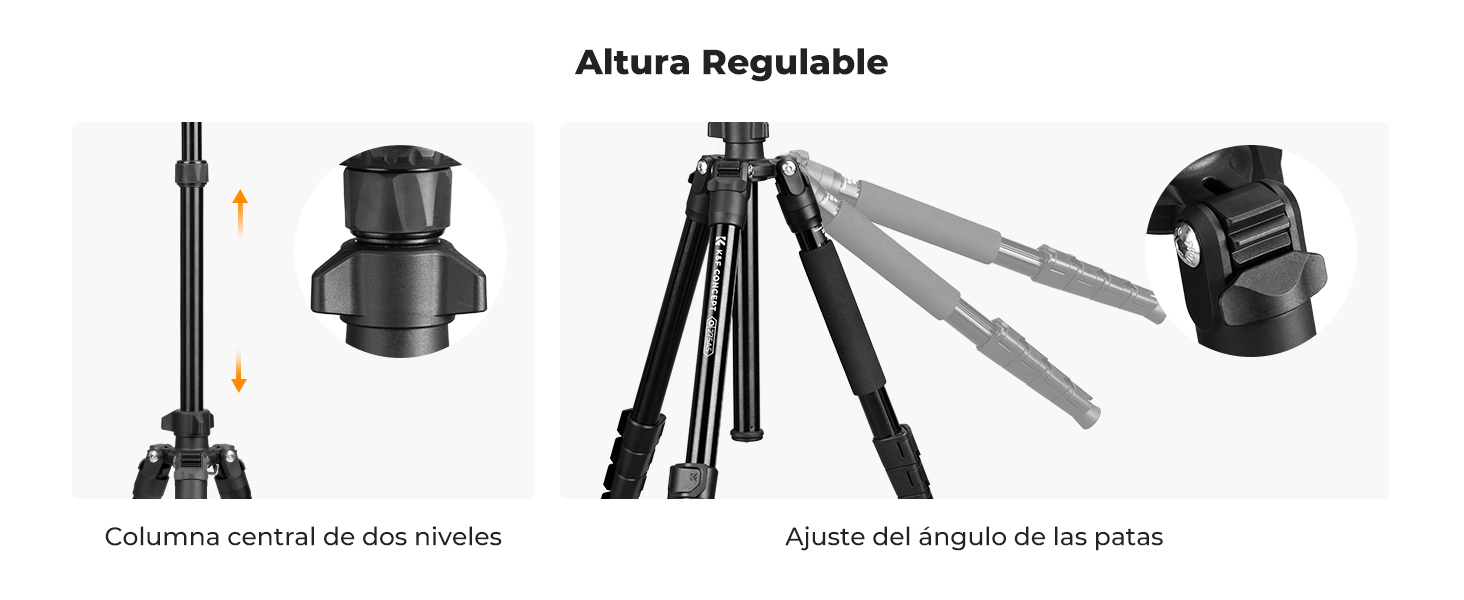 Segunda diapositiva