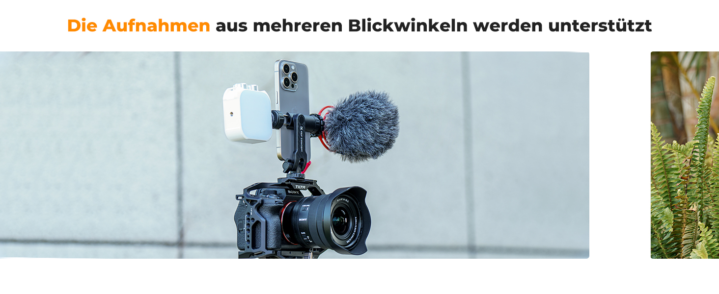 Erste Folie