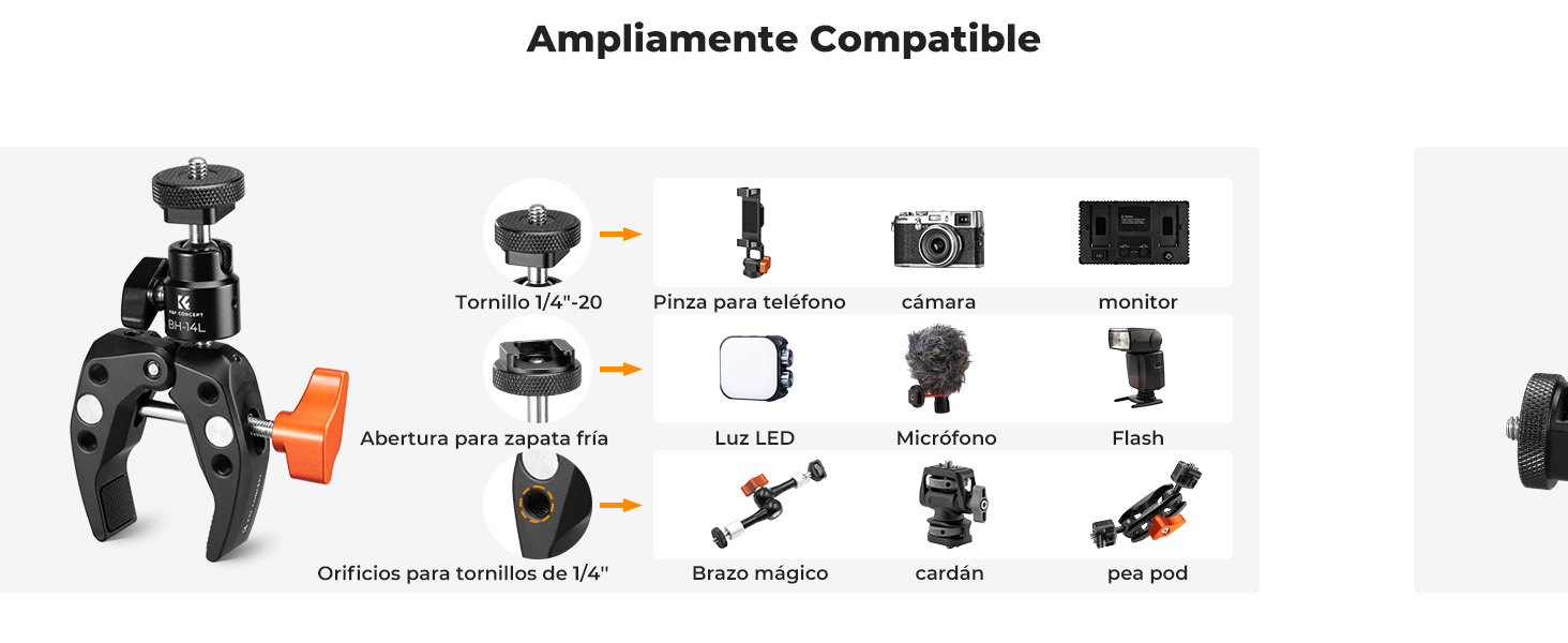 Primera diapositiva