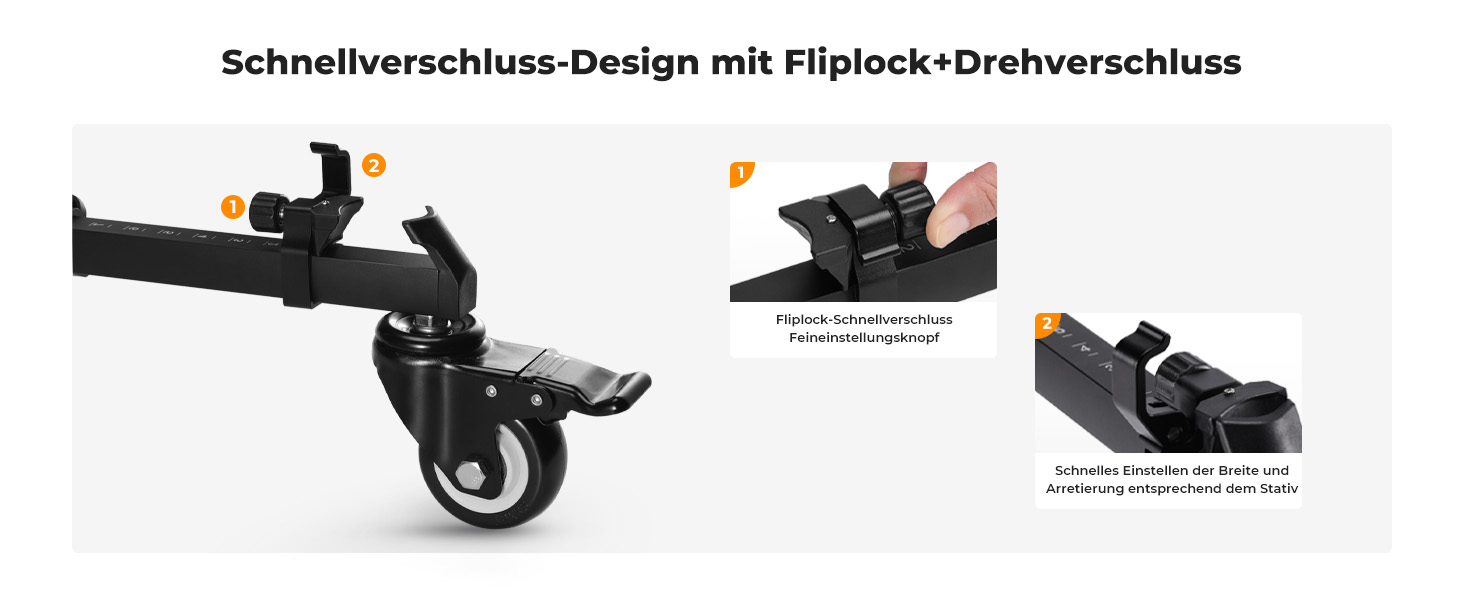 Erste Folie