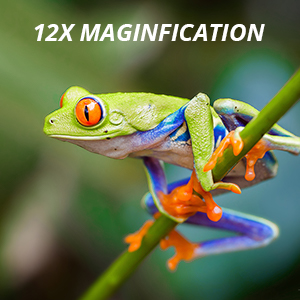 12x Imagem HD avançada