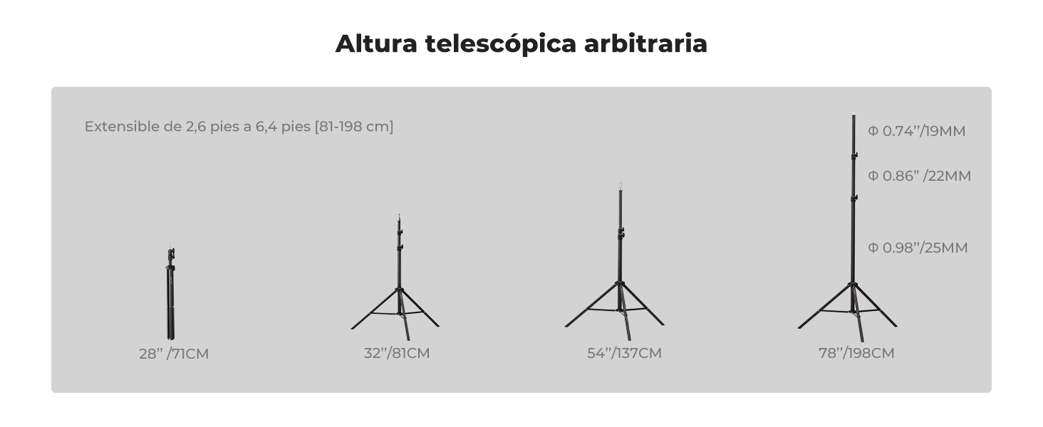 Primera diapositiva