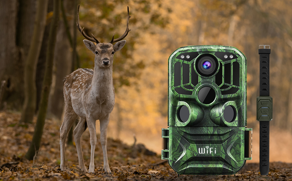 HD Night Vision Trail Camera