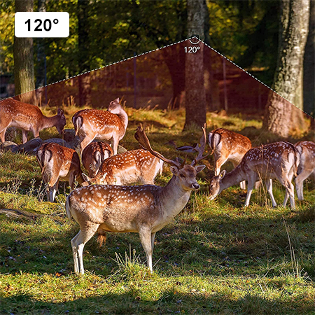 120° detection angle