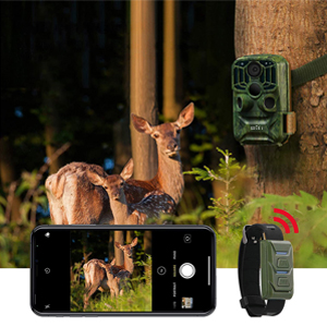 Hunting Camera with WiFi and APP