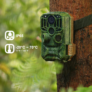 IP65 waterproof and durable