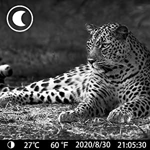 Super Clear Night Trail Camera