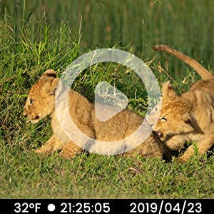 High RESOLUTION PHOTO and VIDEO