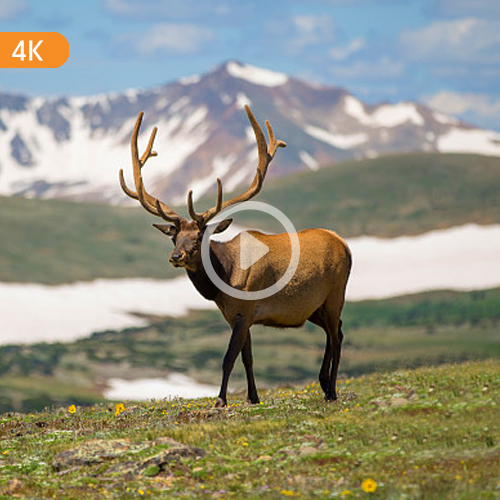 4K Kontinuerlig Loop-optagelse