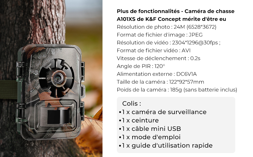 Lecteur de carte SD pour caméra de randonnée, lecteur de carte mémoire –  BlazeVideo France