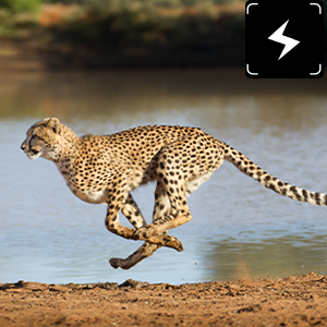 Captura rápida de 0,2S