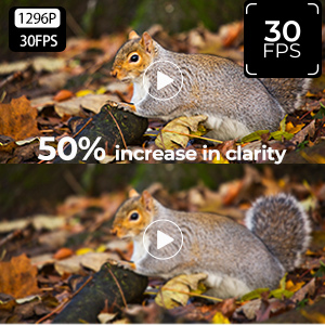 1296P/30fps 24MP HD piksel