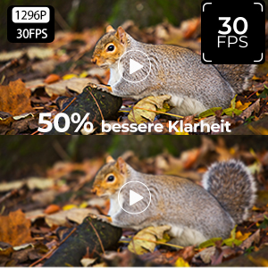 1296P/30fps 24MP HD-Pixel