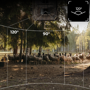 PIR grand angle 120°, la distance de déclenchement la plus longue est de 65ft