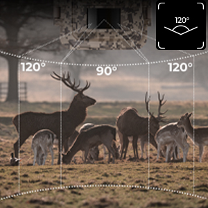PIR grand angle 120°, la distance de déclenchement la plus longue est de 65ft