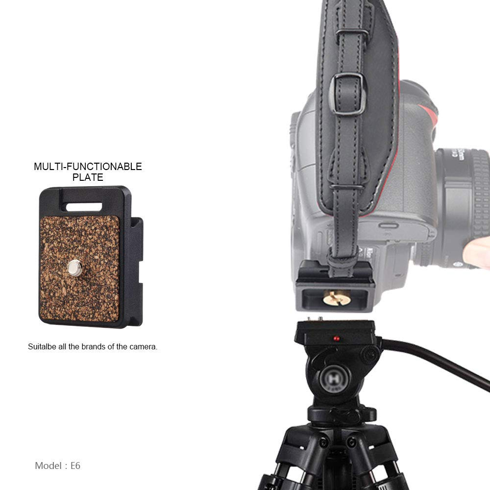 Come Impostare La Macchina Fotografica Per Il Panning ?