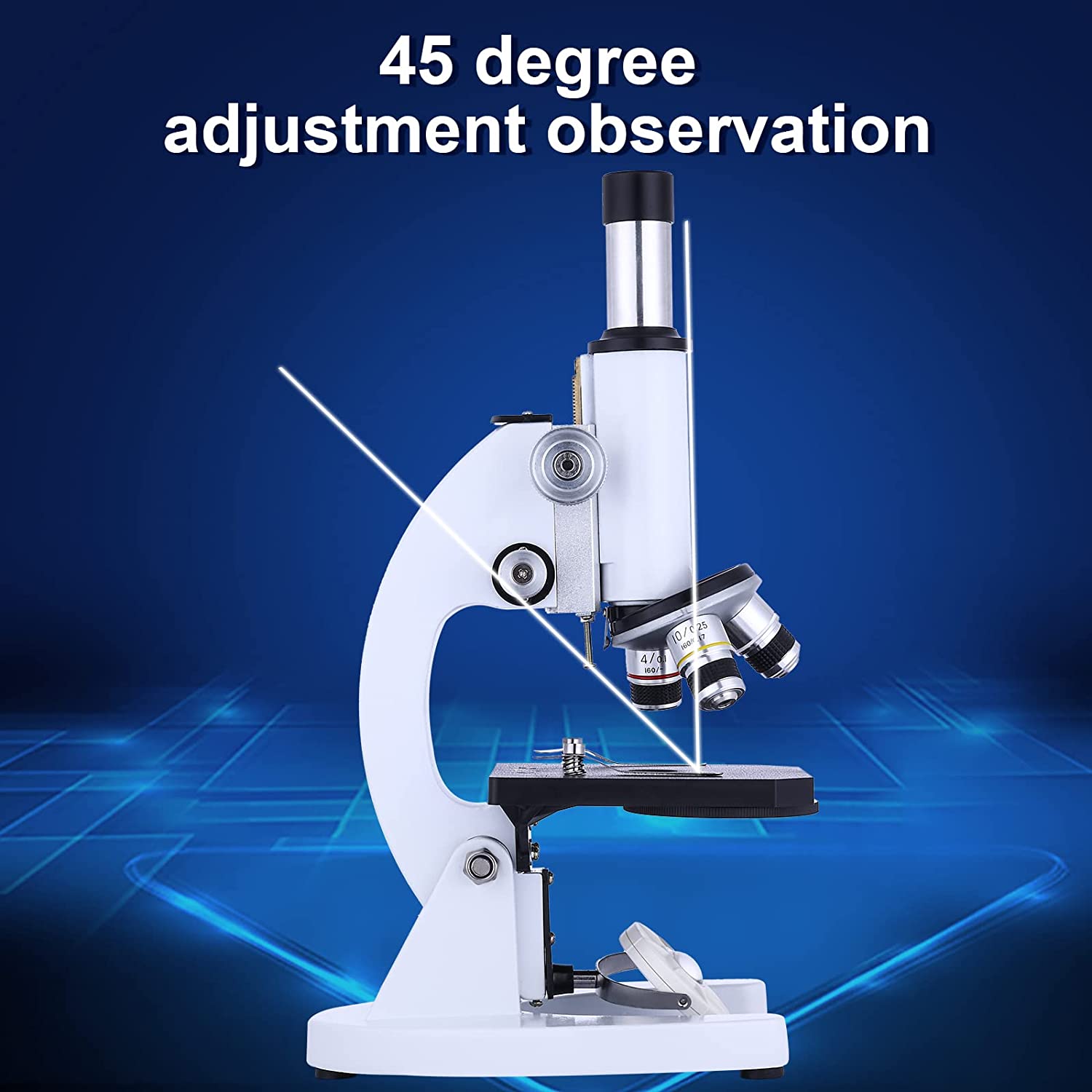 Como Enfocar Una Muestra En El Microscopio?