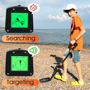 metalldetektor måke