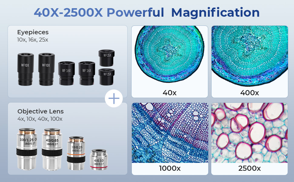 microscopic