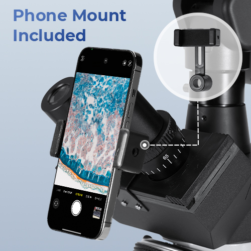 light microscope