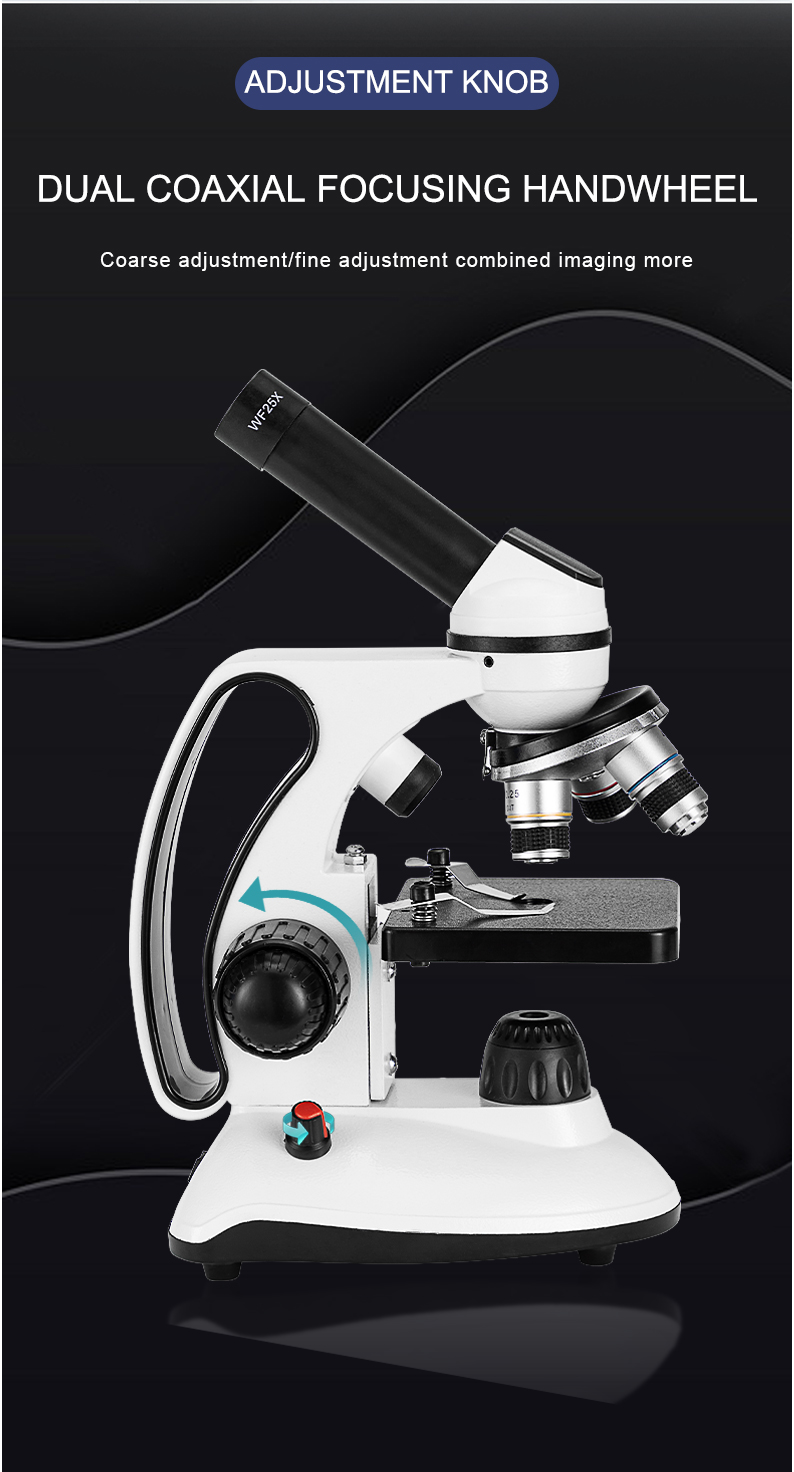 microscope electronique