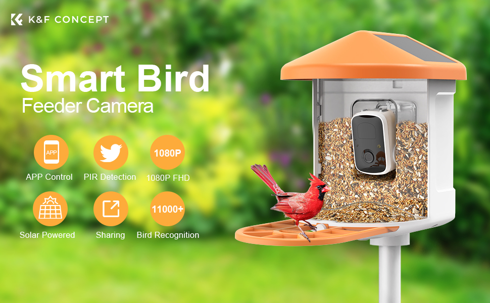 Caméra intelligente d'alimentation d'oiseaux, ai reconnu automatiquement  les oiseaux, image HD 1080p, charge solaire - K&F Concept