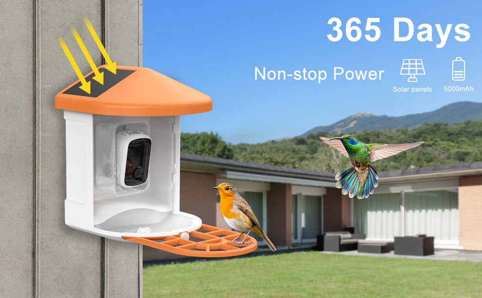 Caméra intelligente d'alimentation d'oiseaux, ai reconnu automatiquement  les oiseaux, image HD 1080p, charge solaire - K&F Concept